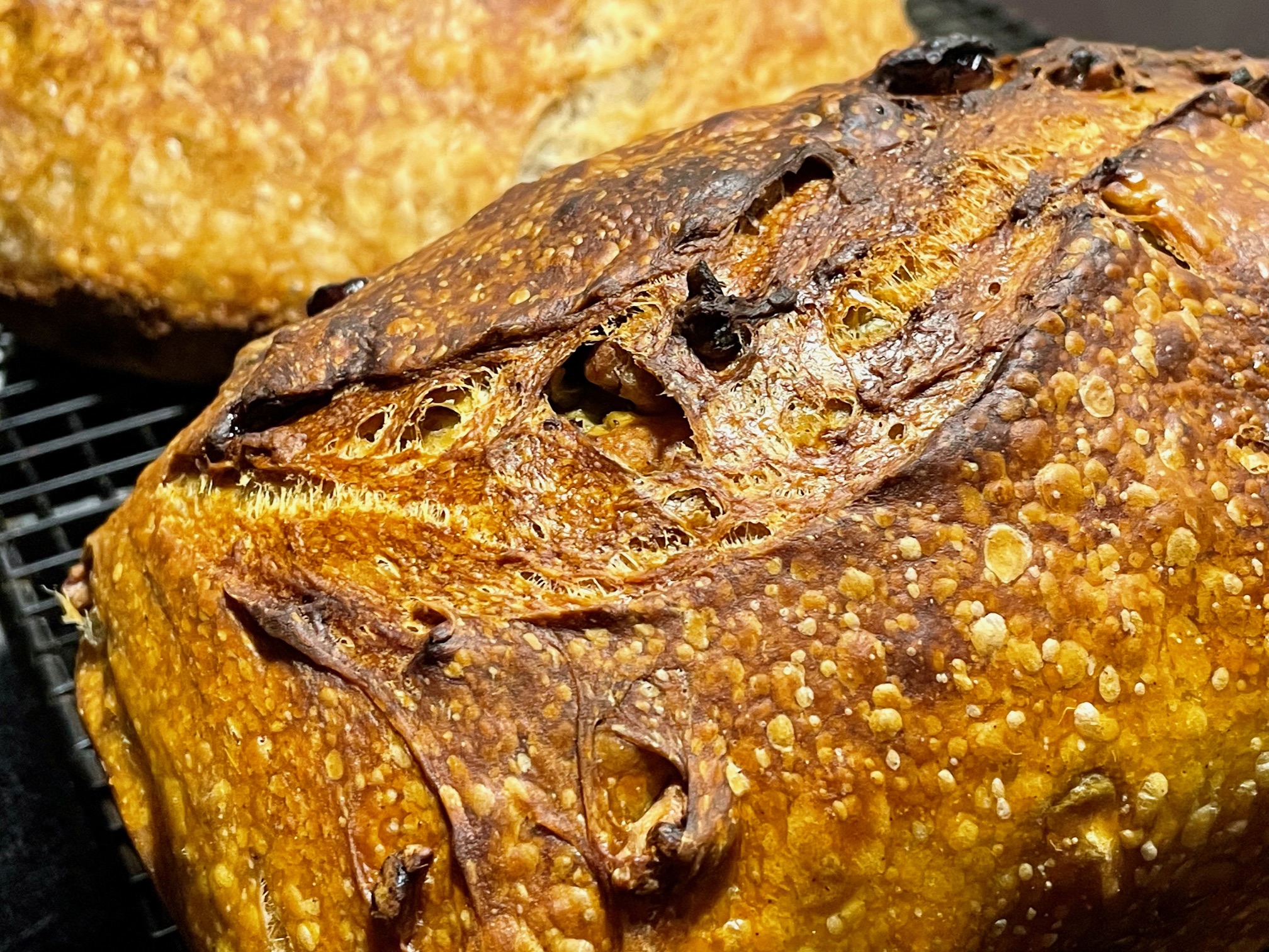 Pumpkin Walnut Cranberry Sourdough Bread Closeup