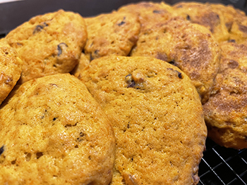 seminole-pumpkin-walnut-cranberry-sourdough-cookies