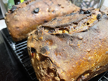 pumpkin-cranberry-walnut-maple-sourdough